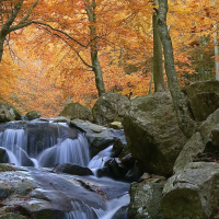 1-parque-natural-montseny.png